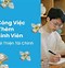 Hồ Sơ Xin Việc Điền Như Thế Nào