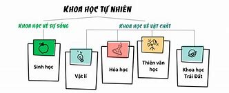 Khoa Học Tự Nhiên Trong Tiếng Anh Là Gì