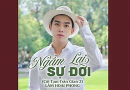 Ngẫm Lại Sự Đời