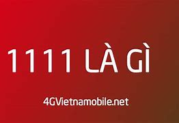 Số 11 11 Là Gì