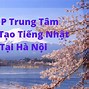 Trung Tâm Đào Tạo Nhật Bản Ceo Tại Hà Nội