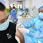 Vaccine Vietnam Tên Gì Đẹp Nhất Thế Giới Là Gì