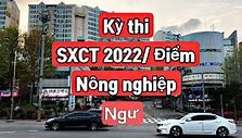 Xkld Mỹ 2022 Là Gì Ạ Tiếng Hàn Quốc Là